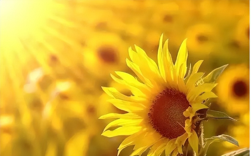 精液里有血，日常防护怎么做？