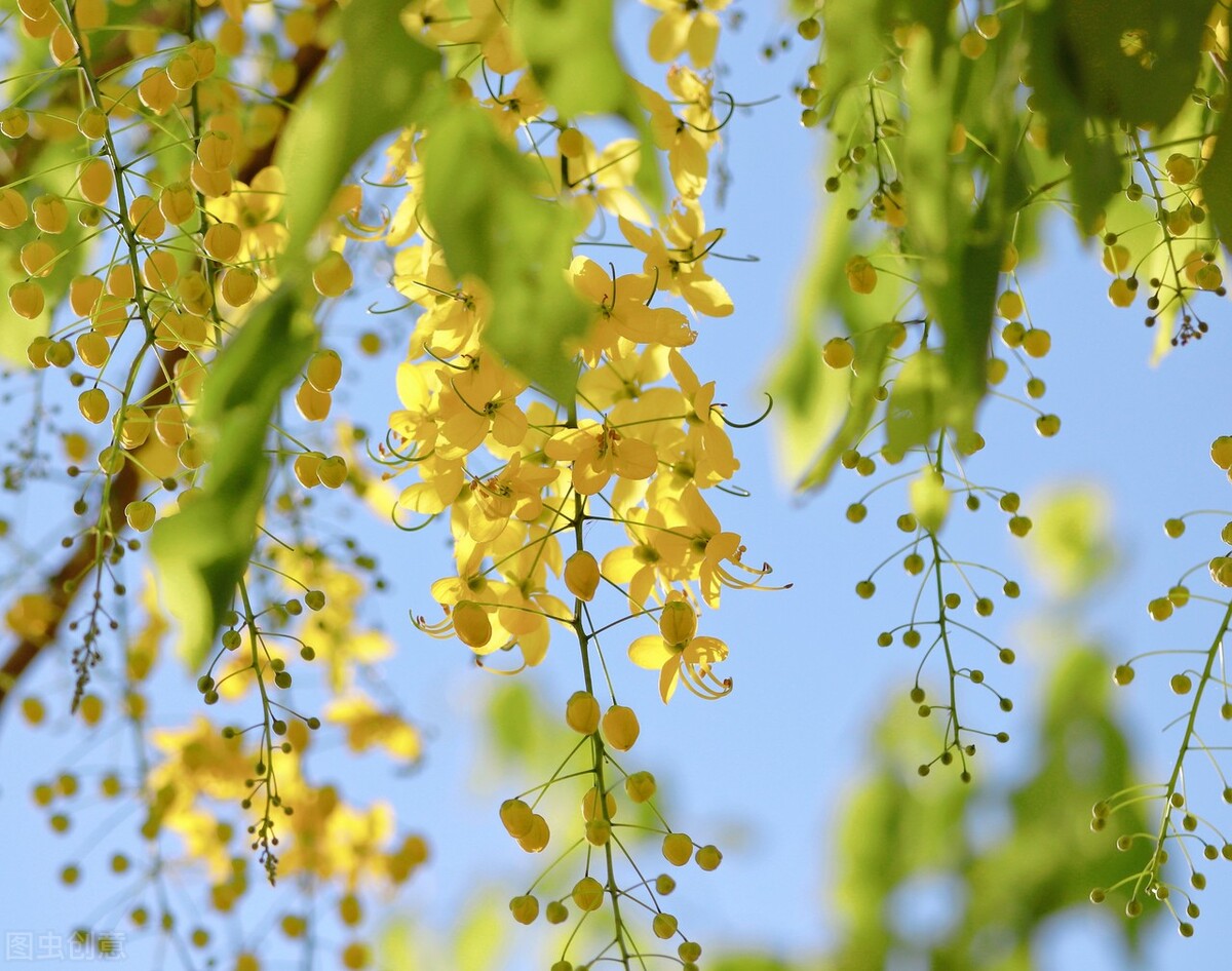 闂茶瘽闄ゅ鐏皽,闂茶瘽鐚滆皽绯诲垪
