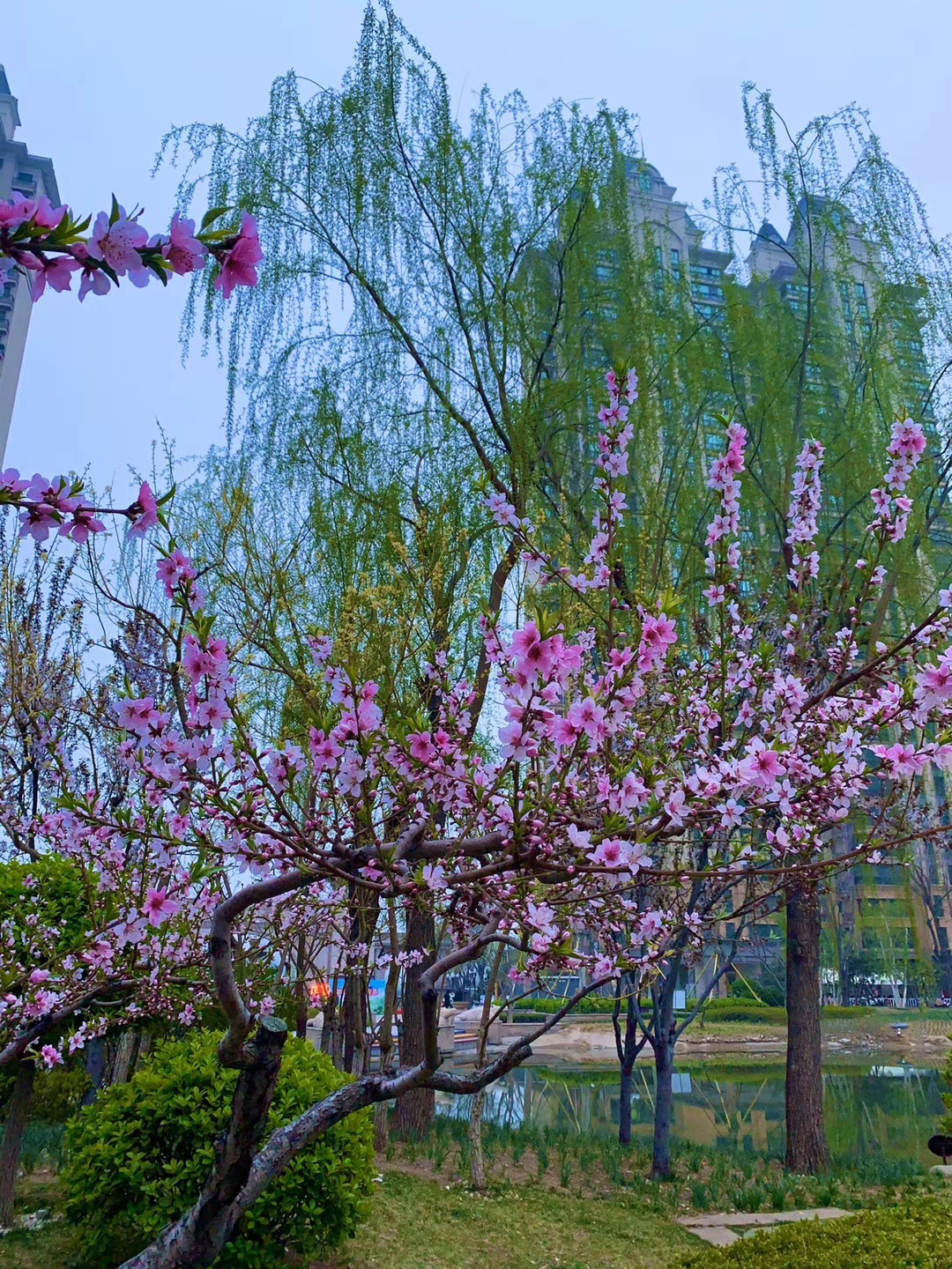 我的一段恋爱经历,回忆我的恋爱经历