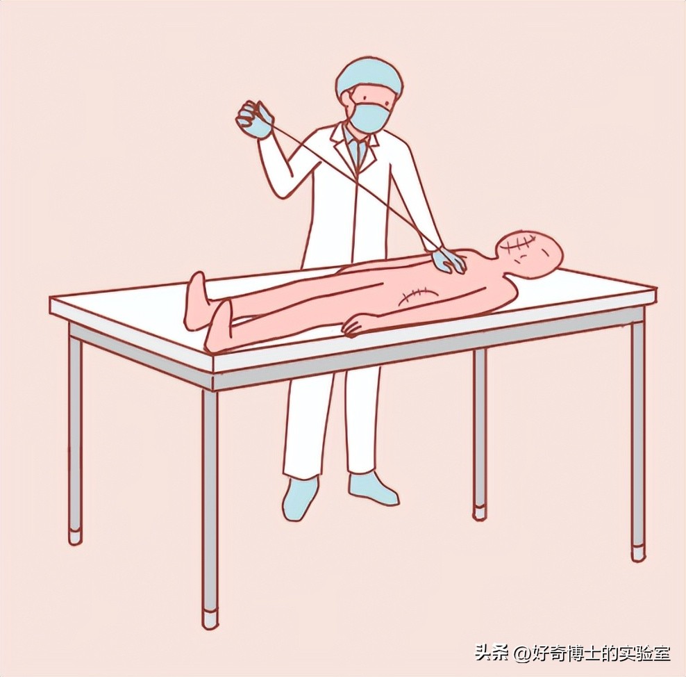 沉浸式体验出殡,详细观察遗体火化