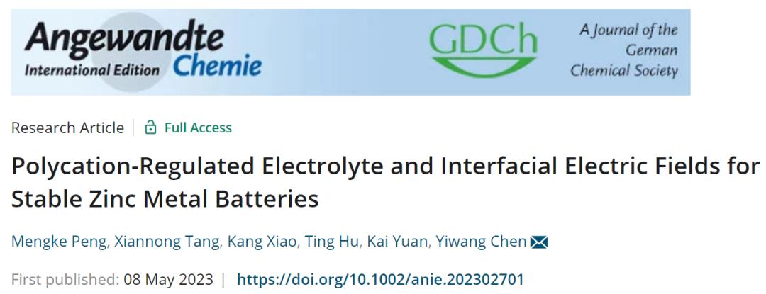 南昌大学陈义旺院士团队:聚阳离子添加剂