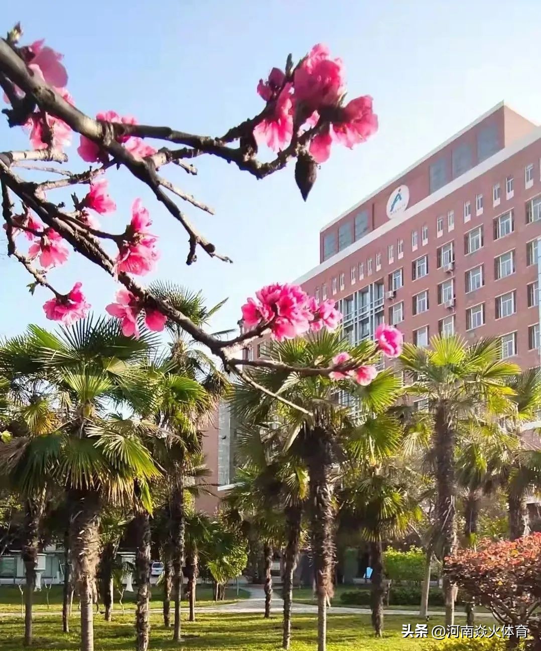 中考志愿第一批次有哪些学校,中考分数怎么预估你能上哪所高中