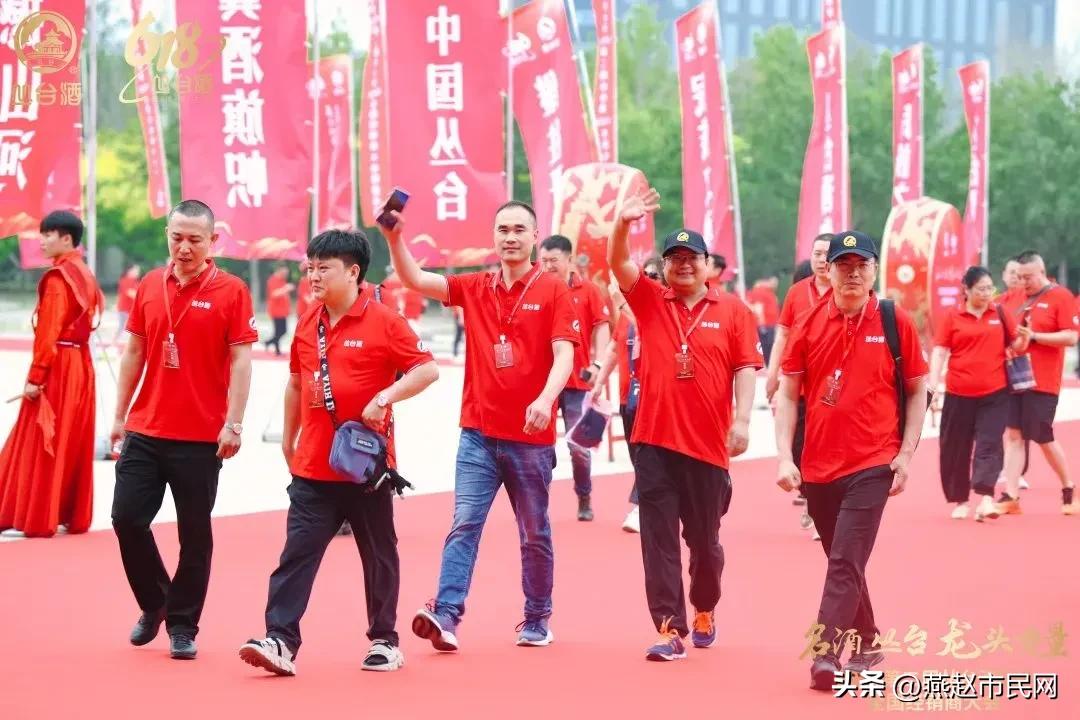 丛台酒20年新品发布会,丛台酒展会