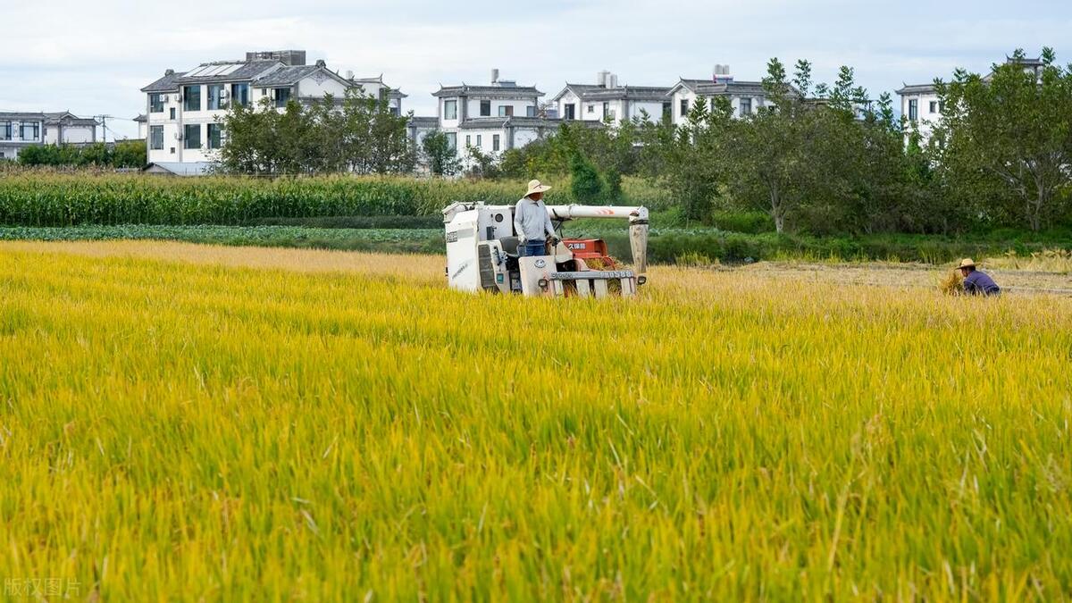 隐瞒年龄骗婚生子,36岁男子隐瞒骗婚