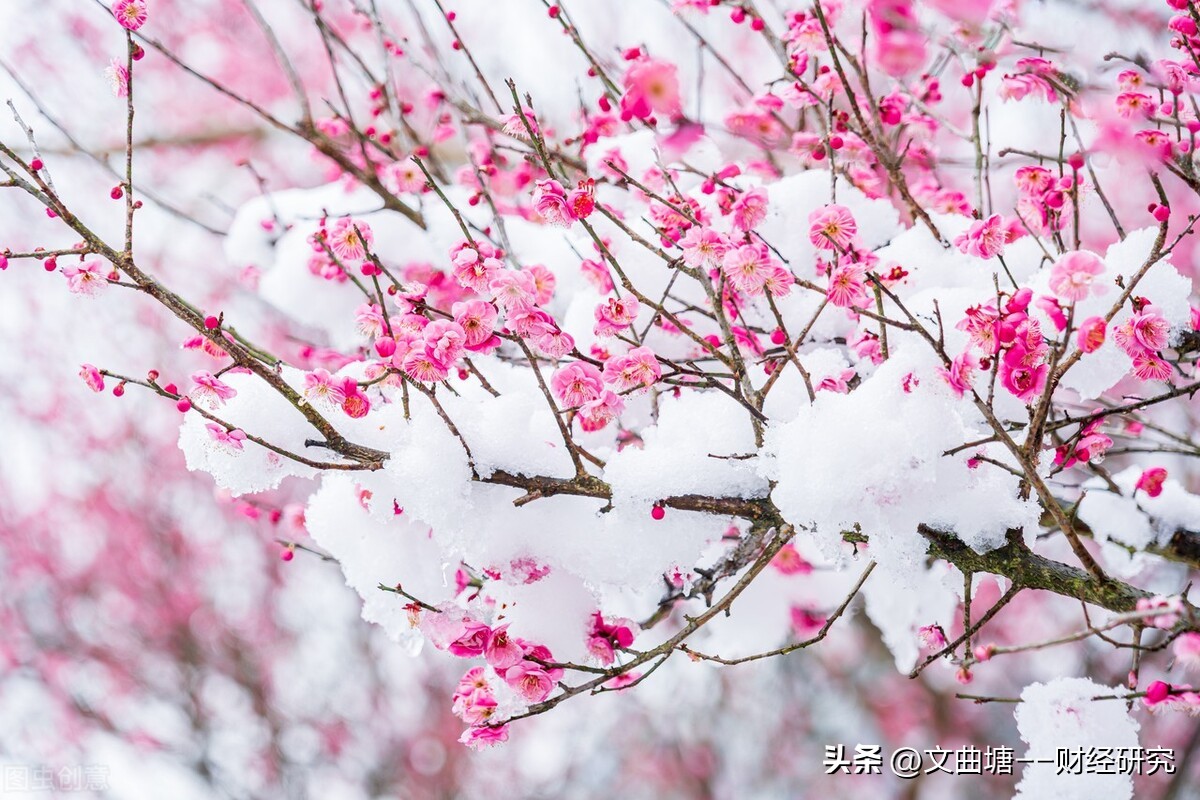 中兴通讯5g端到端商用整体领先,中兴通讯领跑未来5g