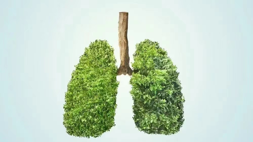 小青龙汤治疗哮喘配方,小青龙汤治哮喘最多能服用多少天