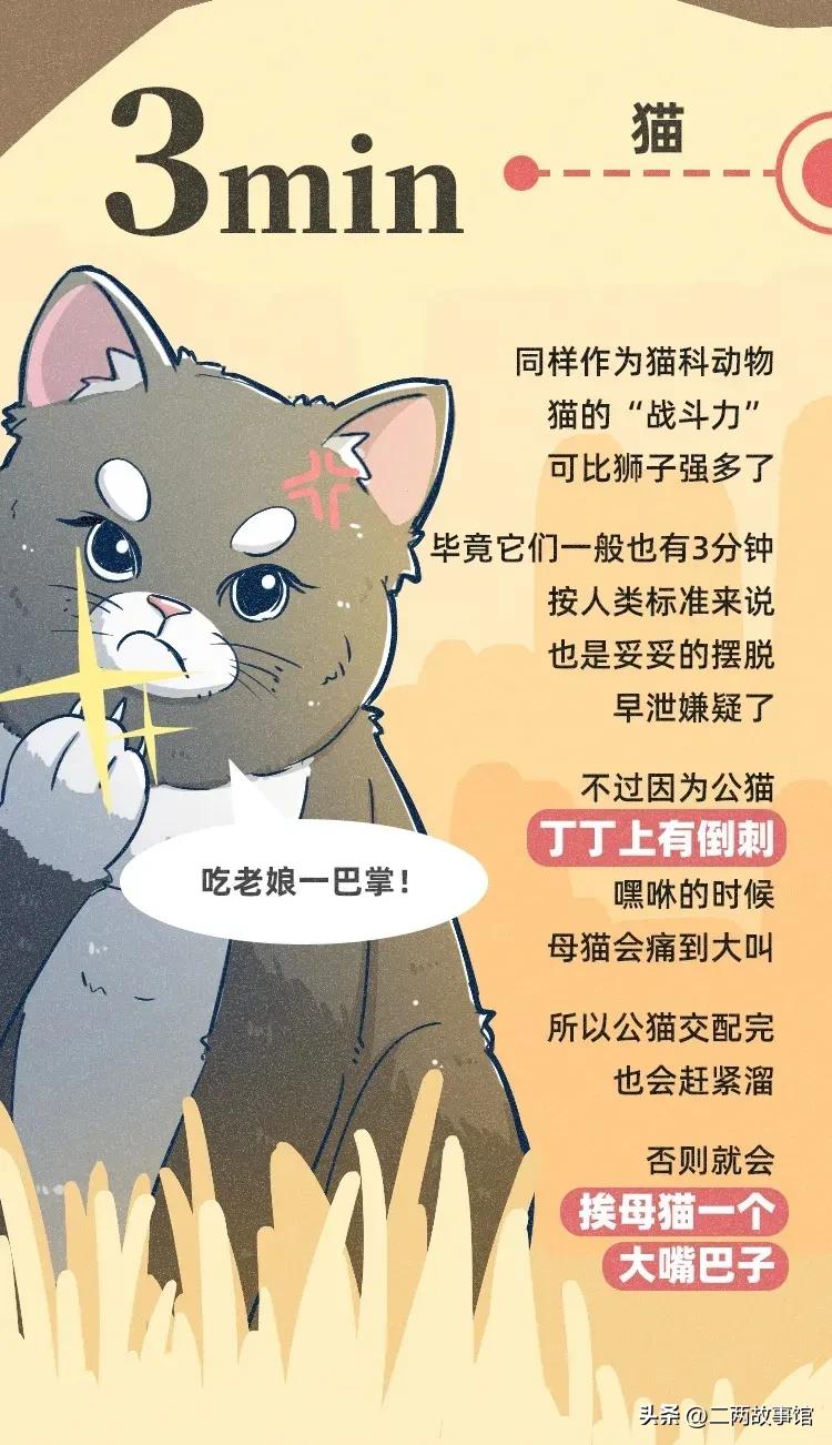 漫画：动物界交配时间轴