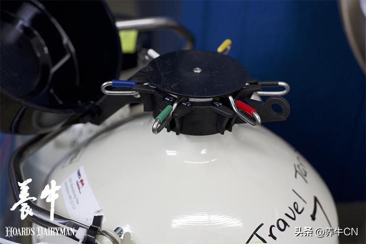 冻精冷配需要发情吗,冻精配种技术