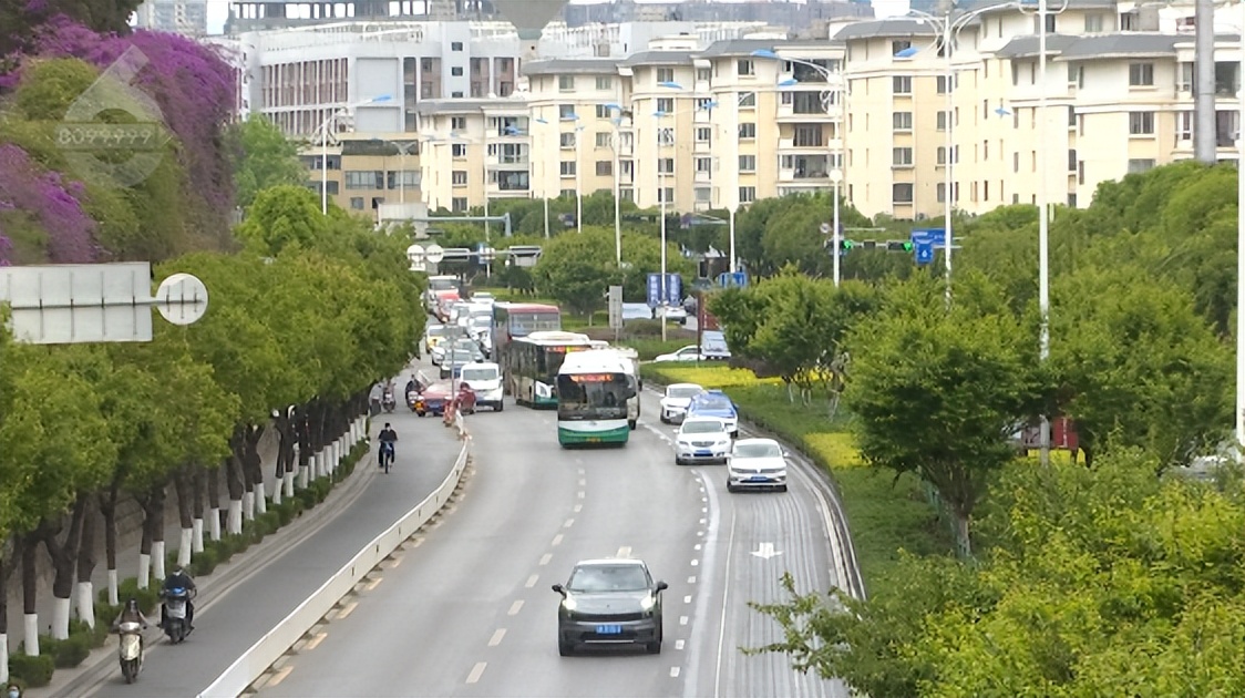 龙泉路封路,龙泉山封路官方解释