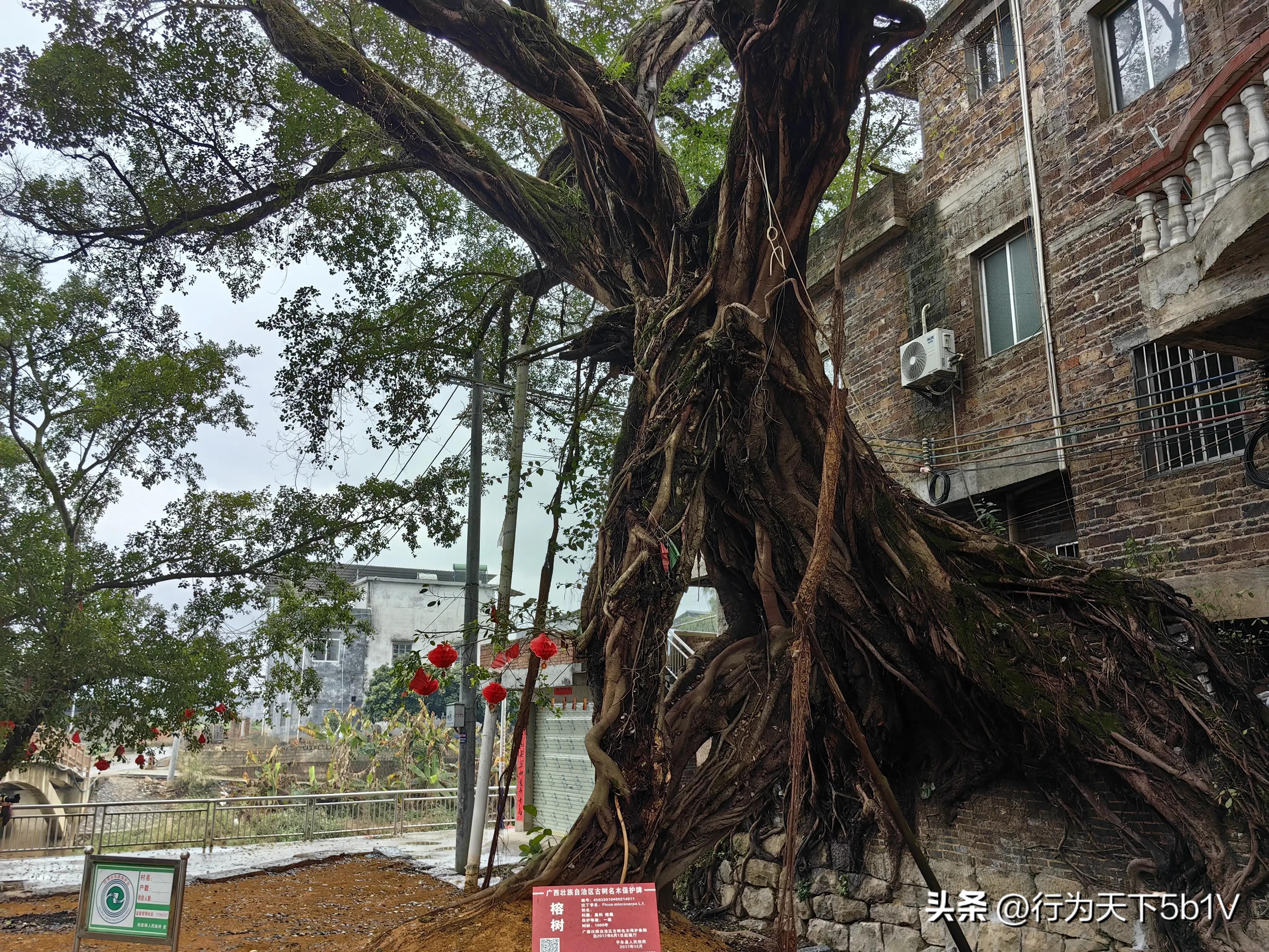 【平乐十里画廊鬼斧神工伟人石像】穿越唐*平宋**乐榕津千年古镇！