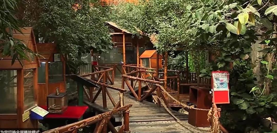 浦东亲子游玩地方,浦东遛娃好去处室内