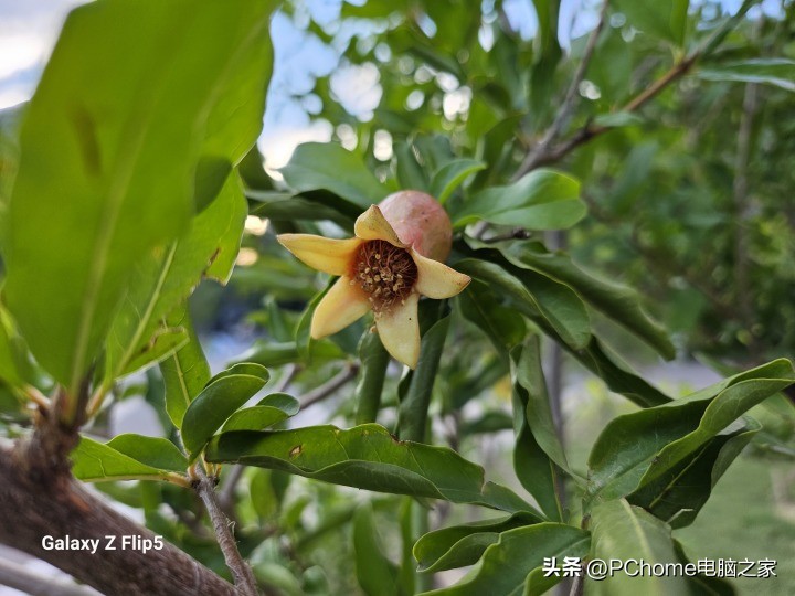 三星galaxyzflip5外屏,三星GalaxyFlip5介绍