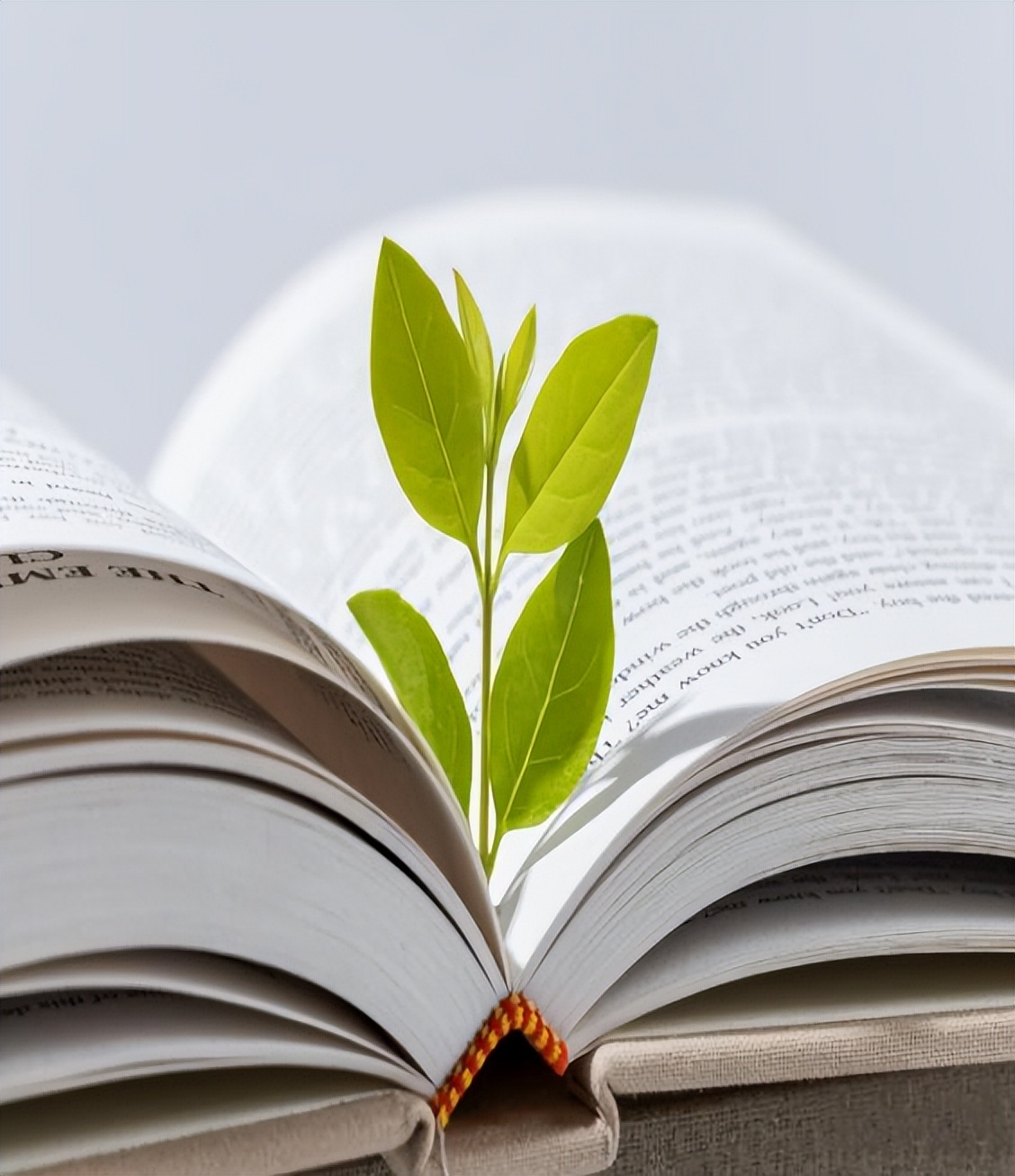 疫情期间有压力怎么做,疫情过后心理如何缓解压力