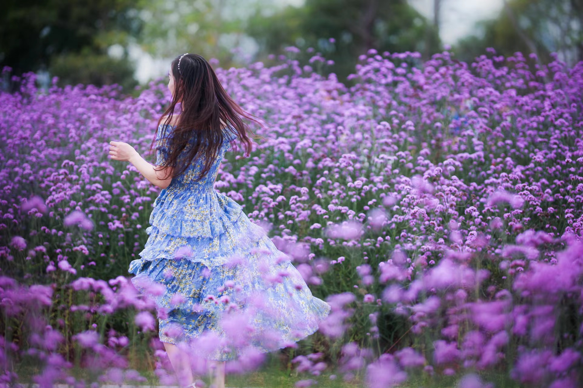 实用马鞭花人像拍摄攻略，新手也能快速学会，拍照美出新高度