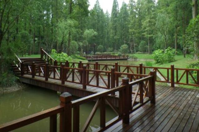 上海东平国家森林公园攻略一日游,上海崇明岛东平森林公园游览