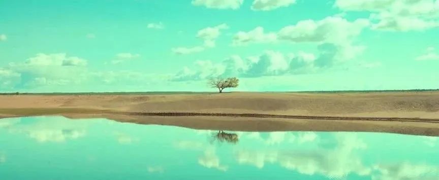 3月,终于等来这样一部“良心”国产片,电影的结尾,太惊艳了