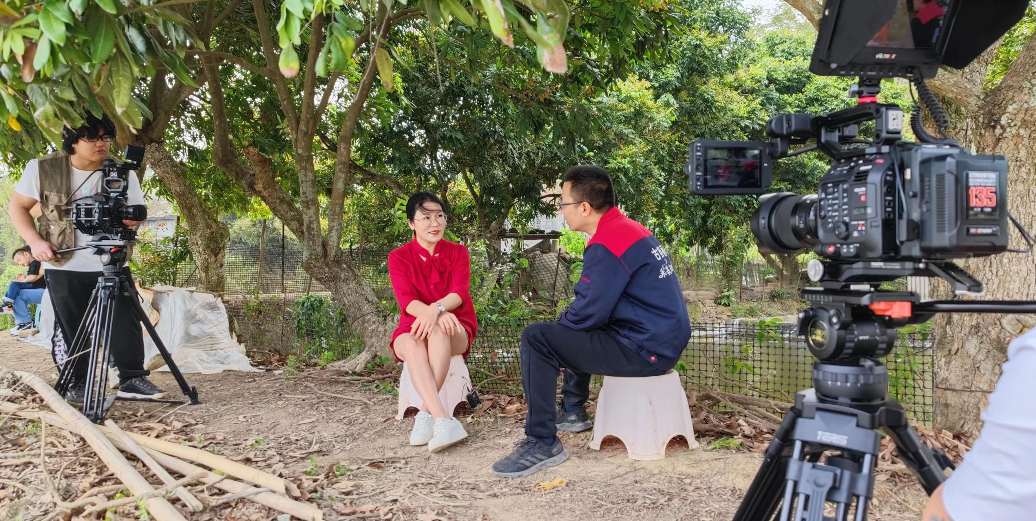 农联助力乡村振兴,联农助农乡村振兴