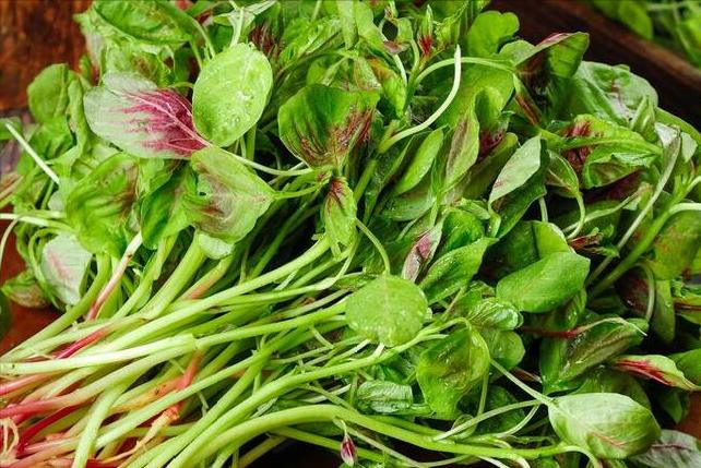 初夏五月吃这些蔬菜就够啦,五月吃什么菜推荐几种应季蔬菜