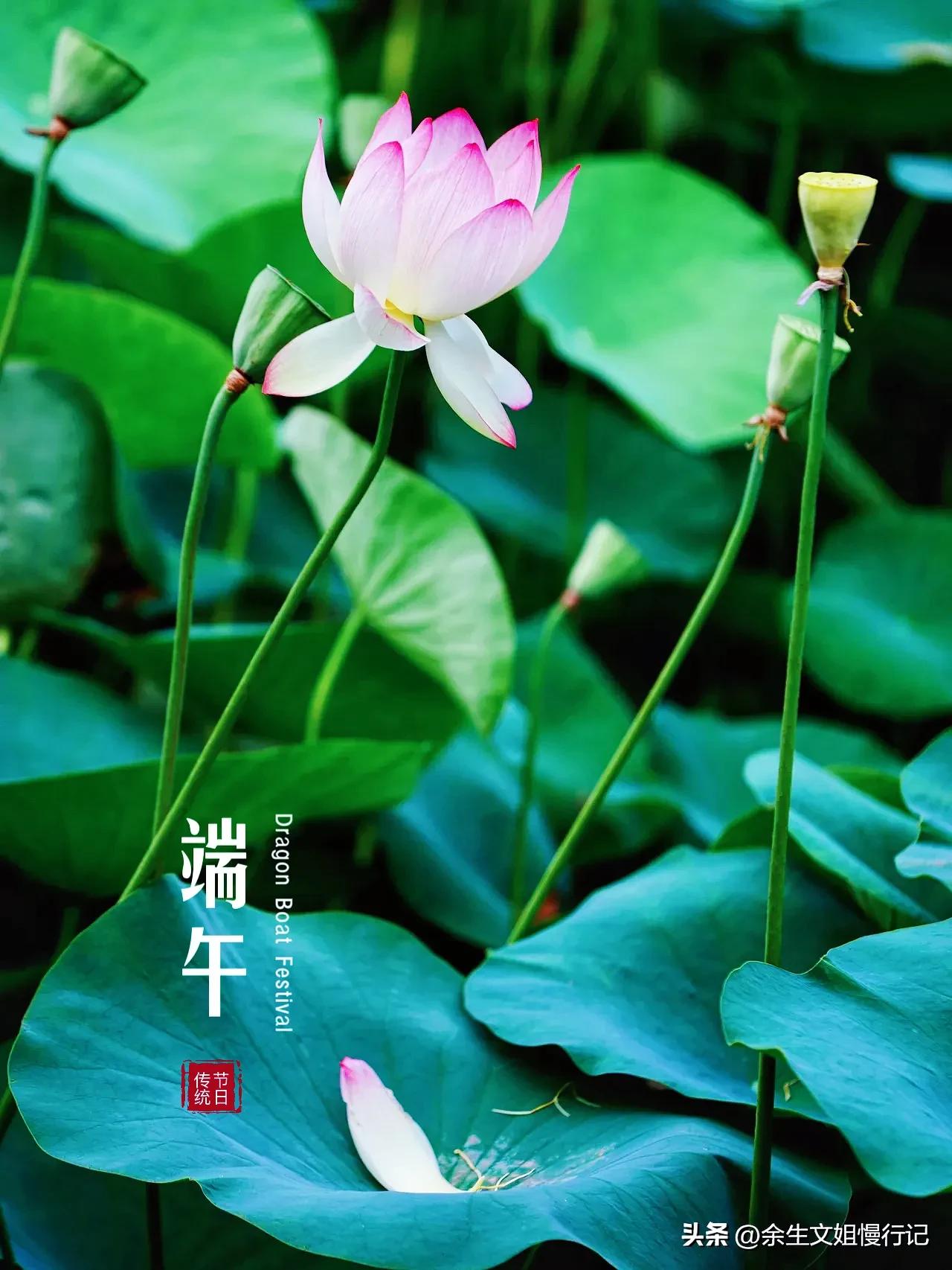 端午节的起源和演变手抄报,端午节的起源和哪个人物无关