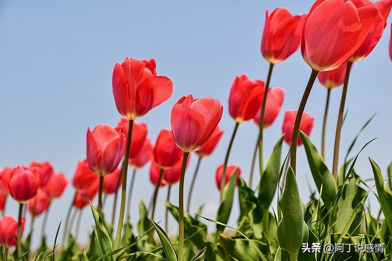 虚伪的人常常说这几种话别深交,虚伪的人往往有这三个表现