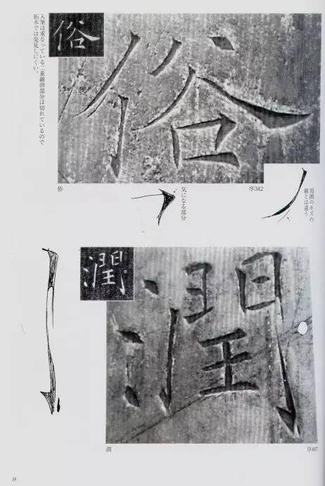 宸ョ瑪鐢绘潹鏅箟鐢诲唽,鏉滈箖鏉ㄦ櫘涔夊畬鏁寸増