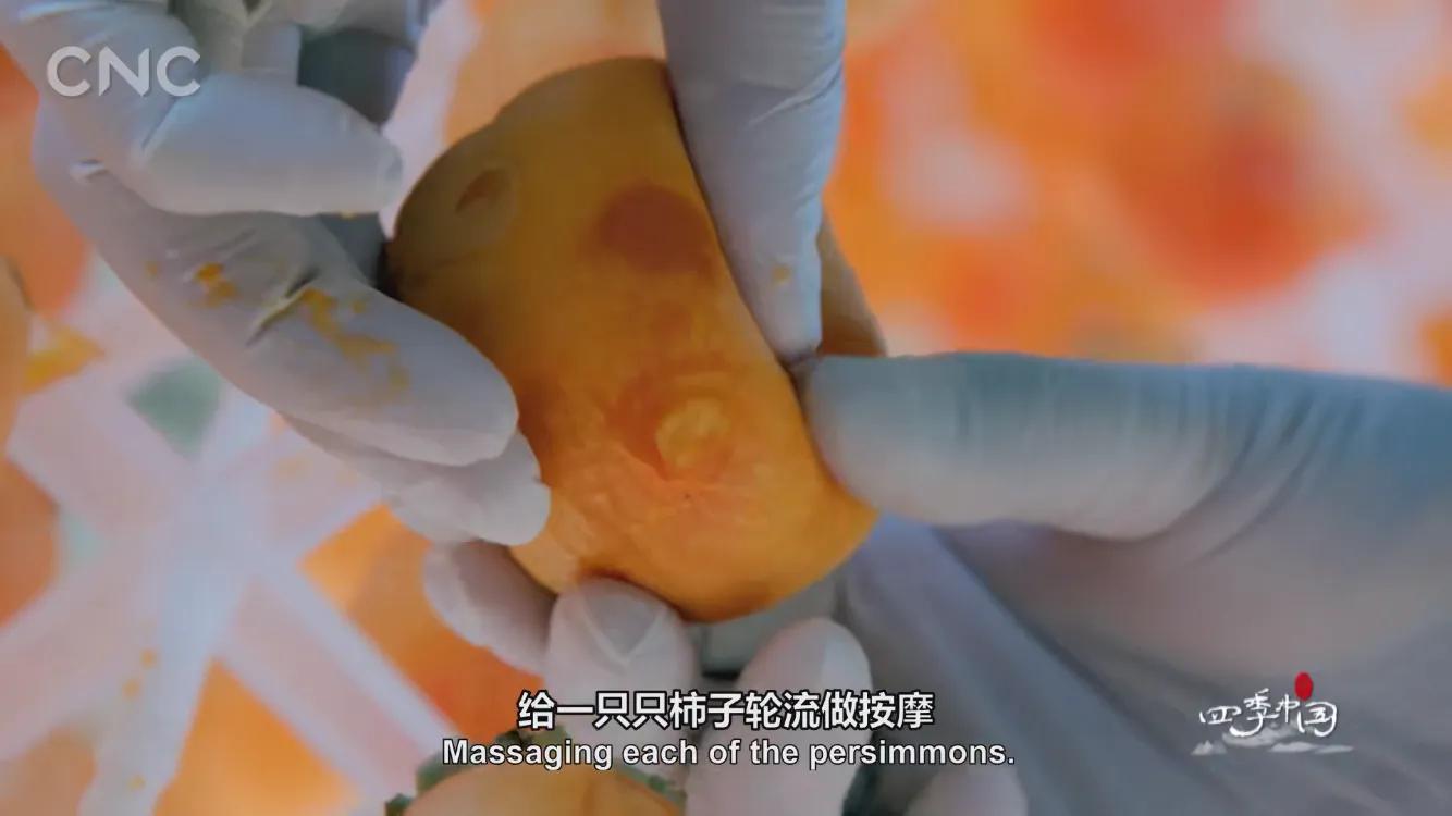 霜降有好柿，橘红色“灯笼”的变形记