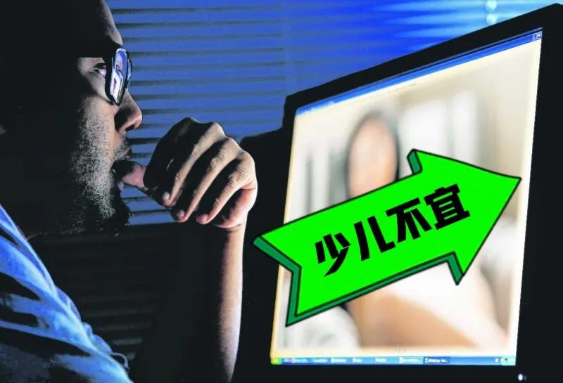 浏览不良网站被抓后会留案底吗,浏览不良网站会盗取钱吗