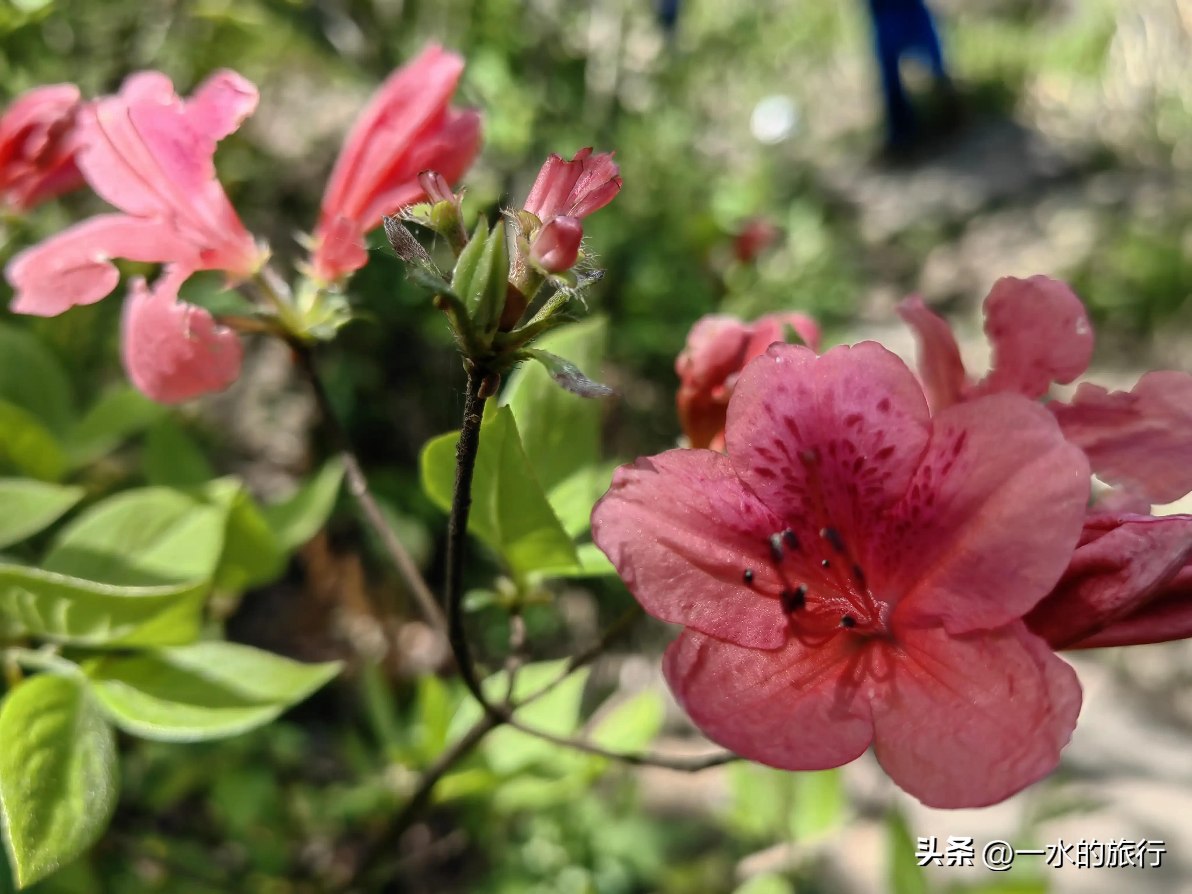 自驾江南秘境旅游,中国十大古道自驾游