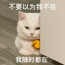 被点名时,中文喊“到”,那英文喊什么?