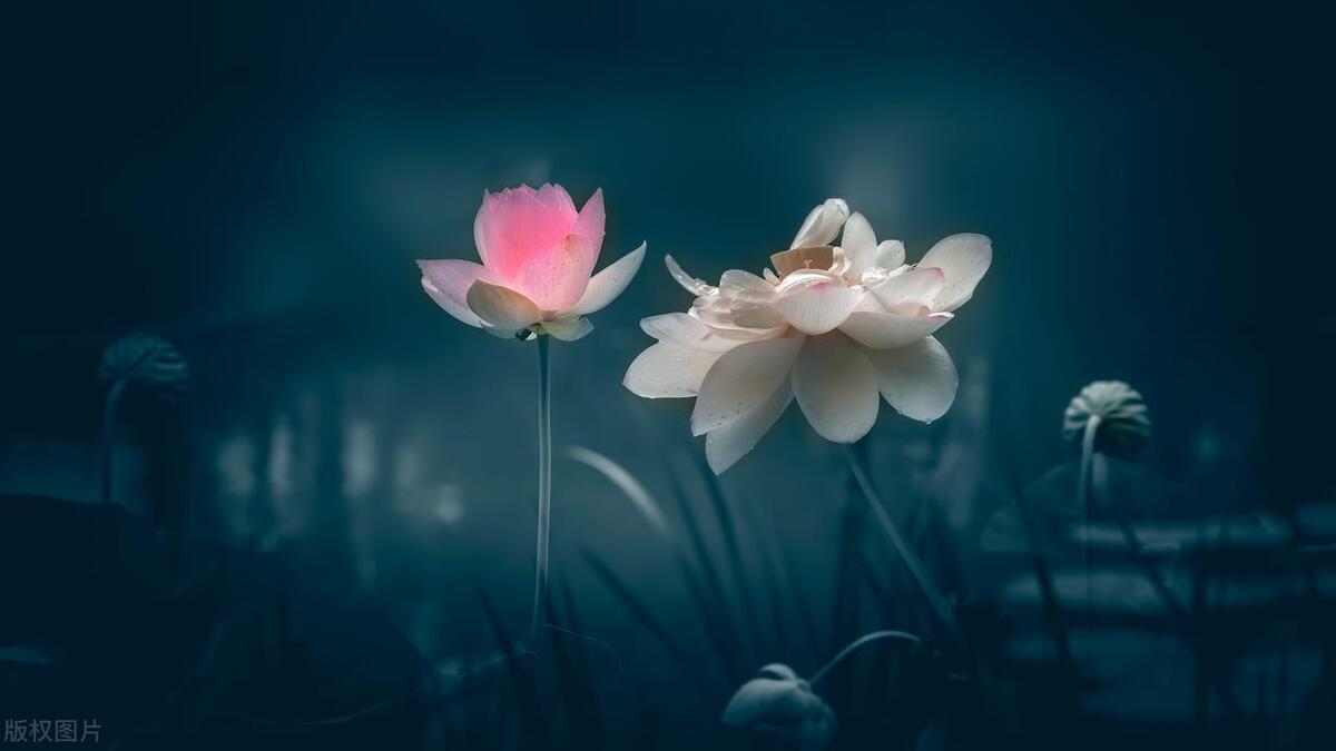 小暑碰上七七事变纪念日,七七事变纪念日大暑