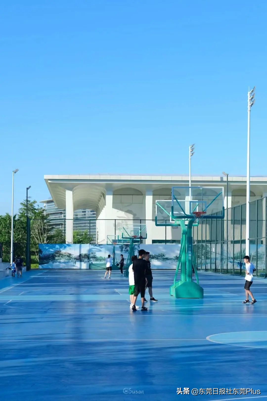 东莞可以看海和赏花的公园,东莞国庆看海游玩推荐