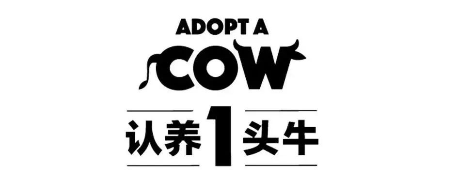 新爆品上市,新爆品