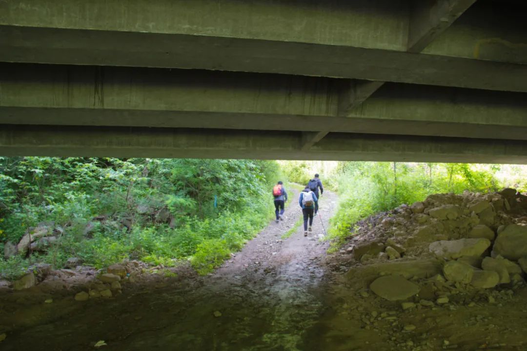 寻访秦岭古村落的感受,探秘秦岭最美空中村落犁辕坪