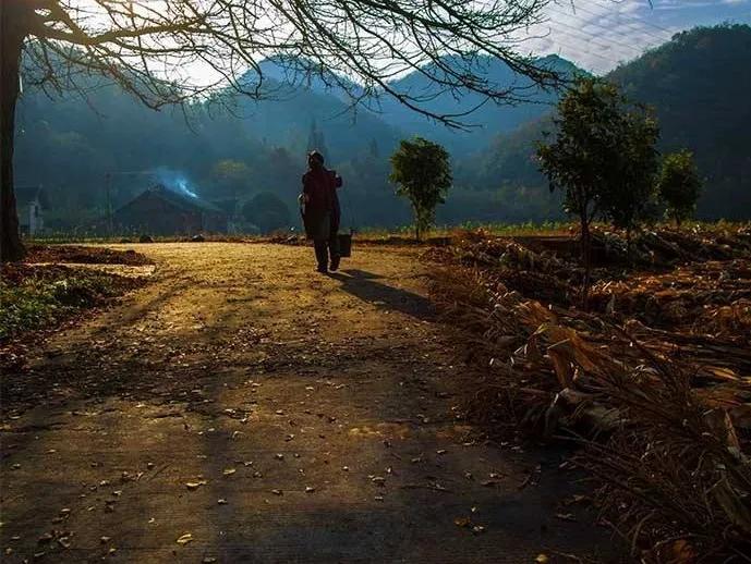 世界纪录大全,世界纪录吉尼斯