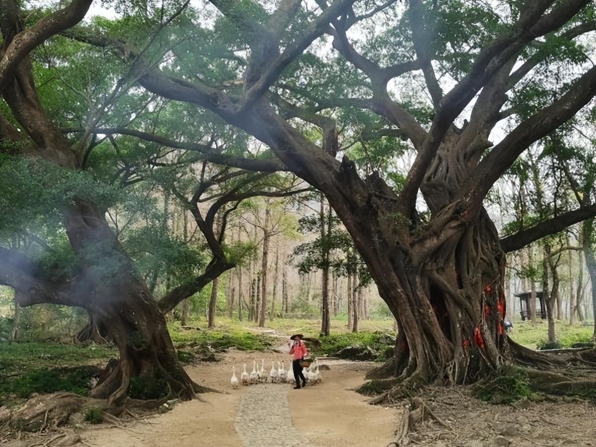 福建好玩的海边推荐,福建海岛旅游攻略自由行