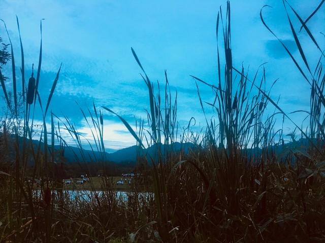 真正赚钱的方法没人告诉你,挣钱没有捷径