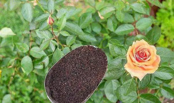 可以救命的18个生活小妙招,省时省力的小妙招