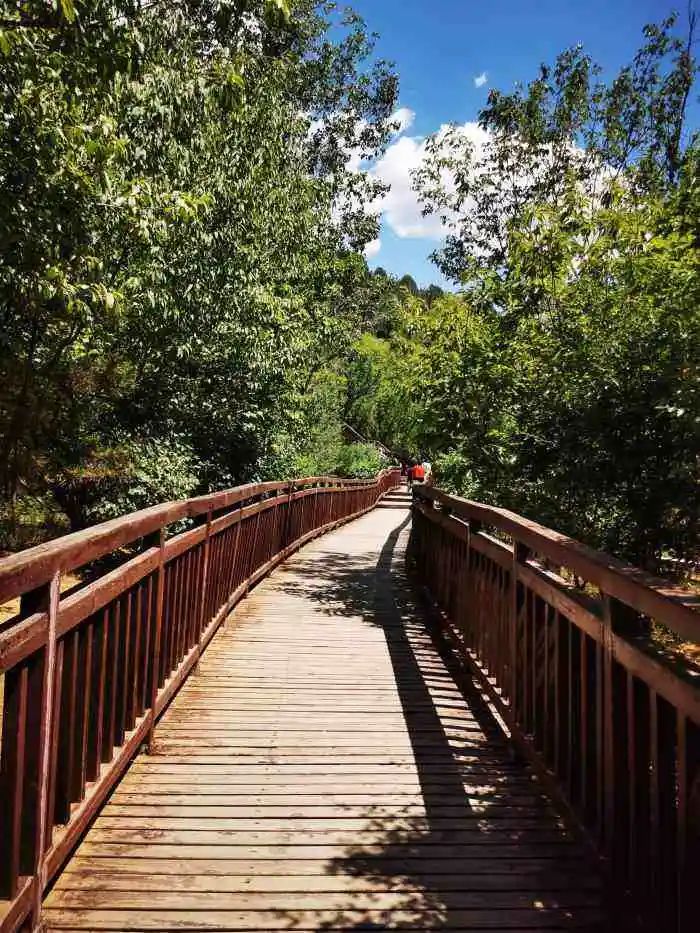 京郊步道旅游攻略,最惊艳的森林步道