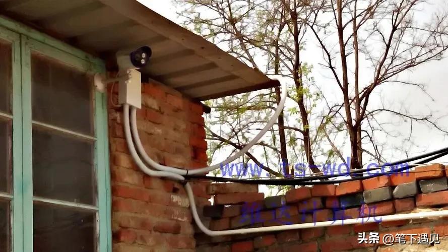 食用油被别人投毒,女子自曝一家16口被投毒