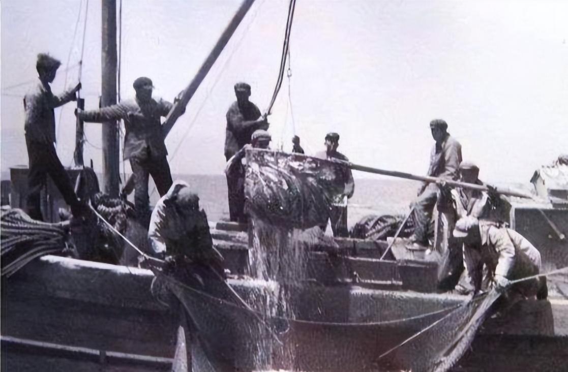 湟鱼洄游全过程,湟鱼洄游障碍