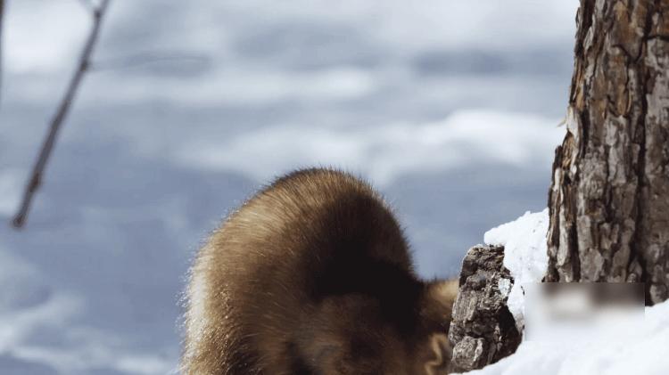 15部豆瓣9.0以上高分记录片,五部必看的高分电影国庆在家就看