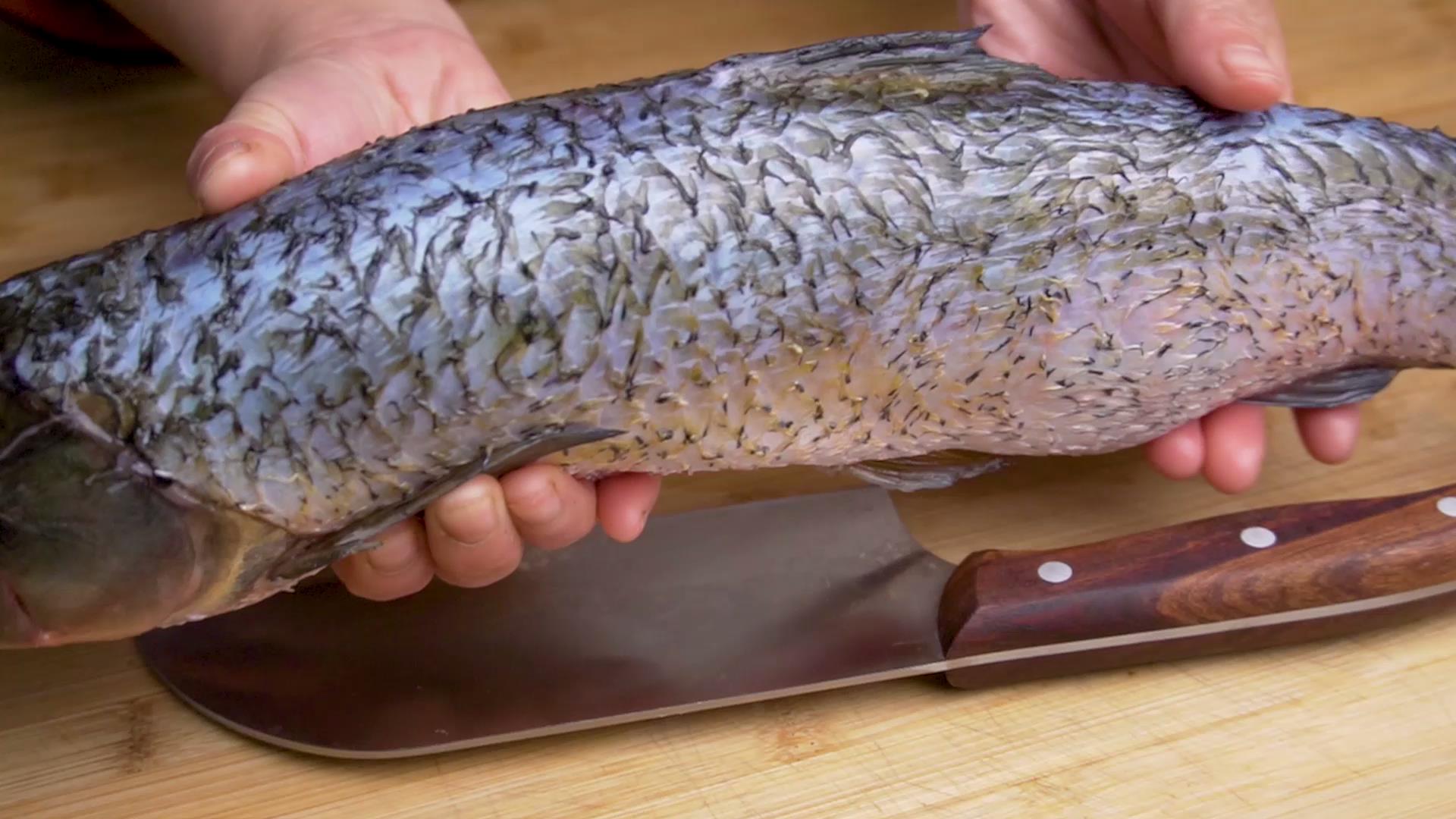 鱼体内所有的刺,鱼内部要怎么处理