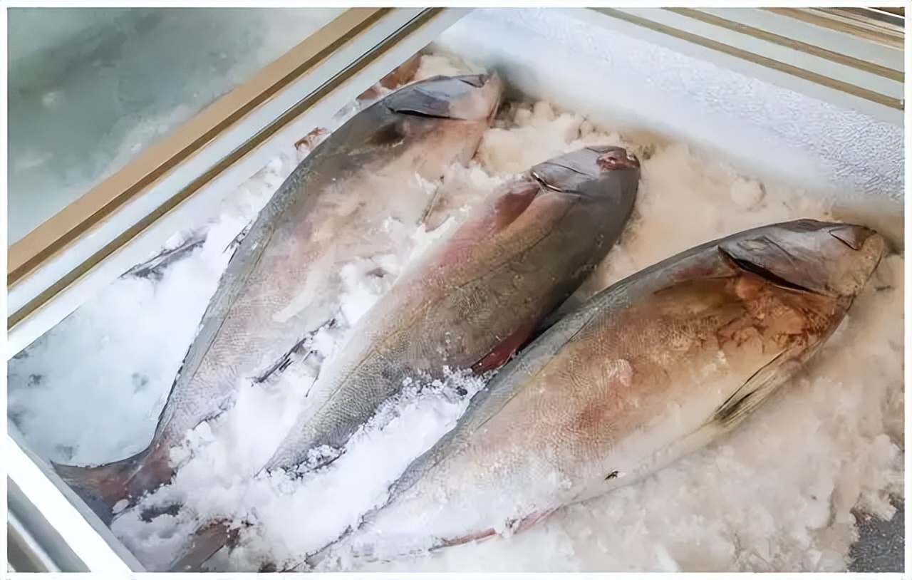 提醒这4种鱼尽量少吃,这4种鱼尽量少吃最好不吃