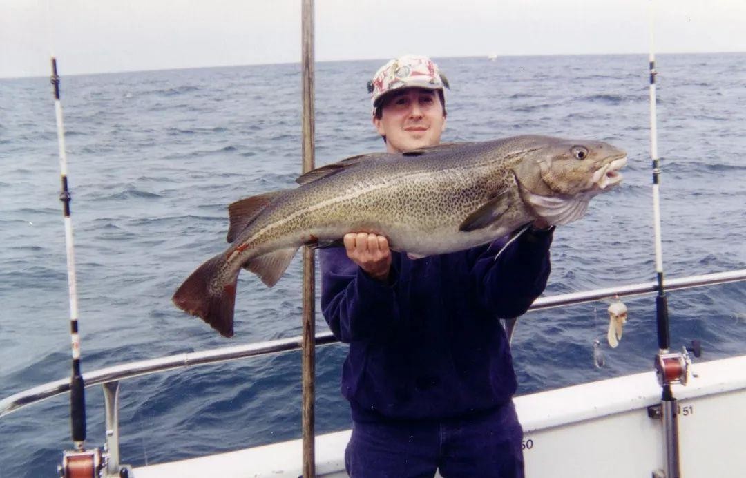 世界第一渔港,世界第一渔港为什么没有捕鱼