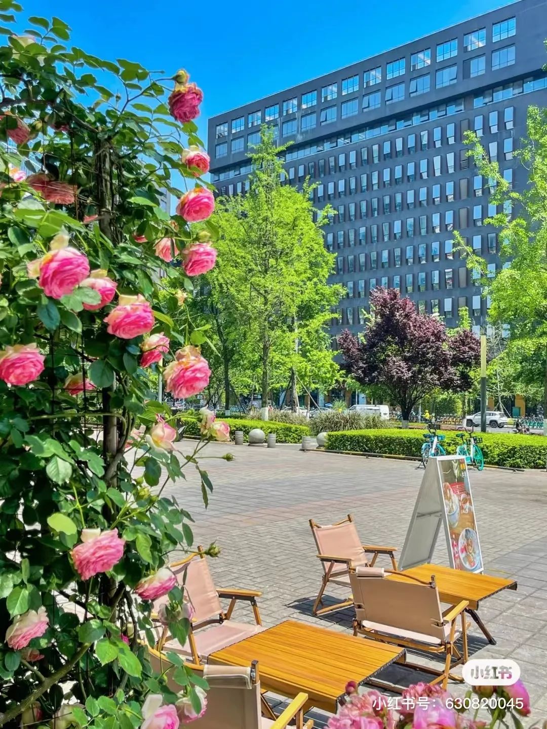 成都吃冰,成都吃冰攻略视频