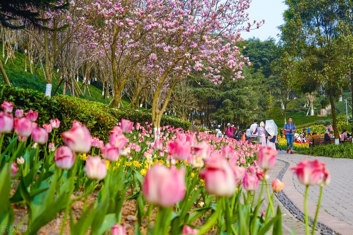 回头看你的时候的感悟,回头看工作