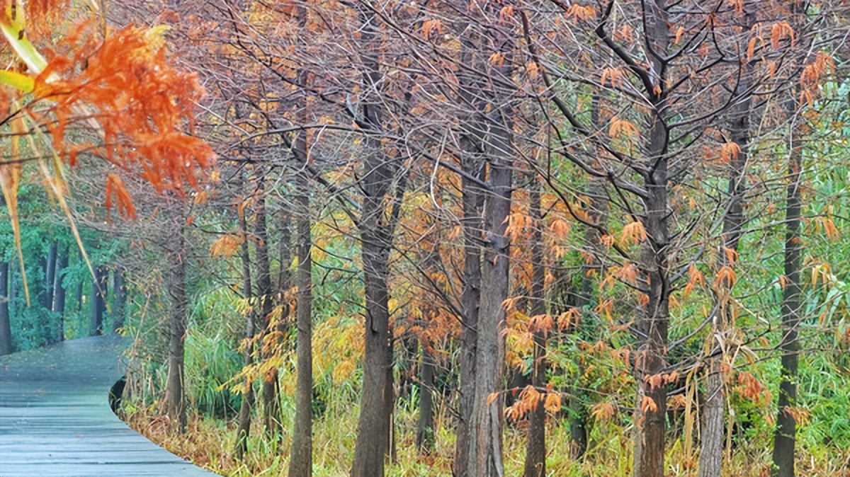 在江苏的“绿林仙海”中，寻找侠气与柔情
