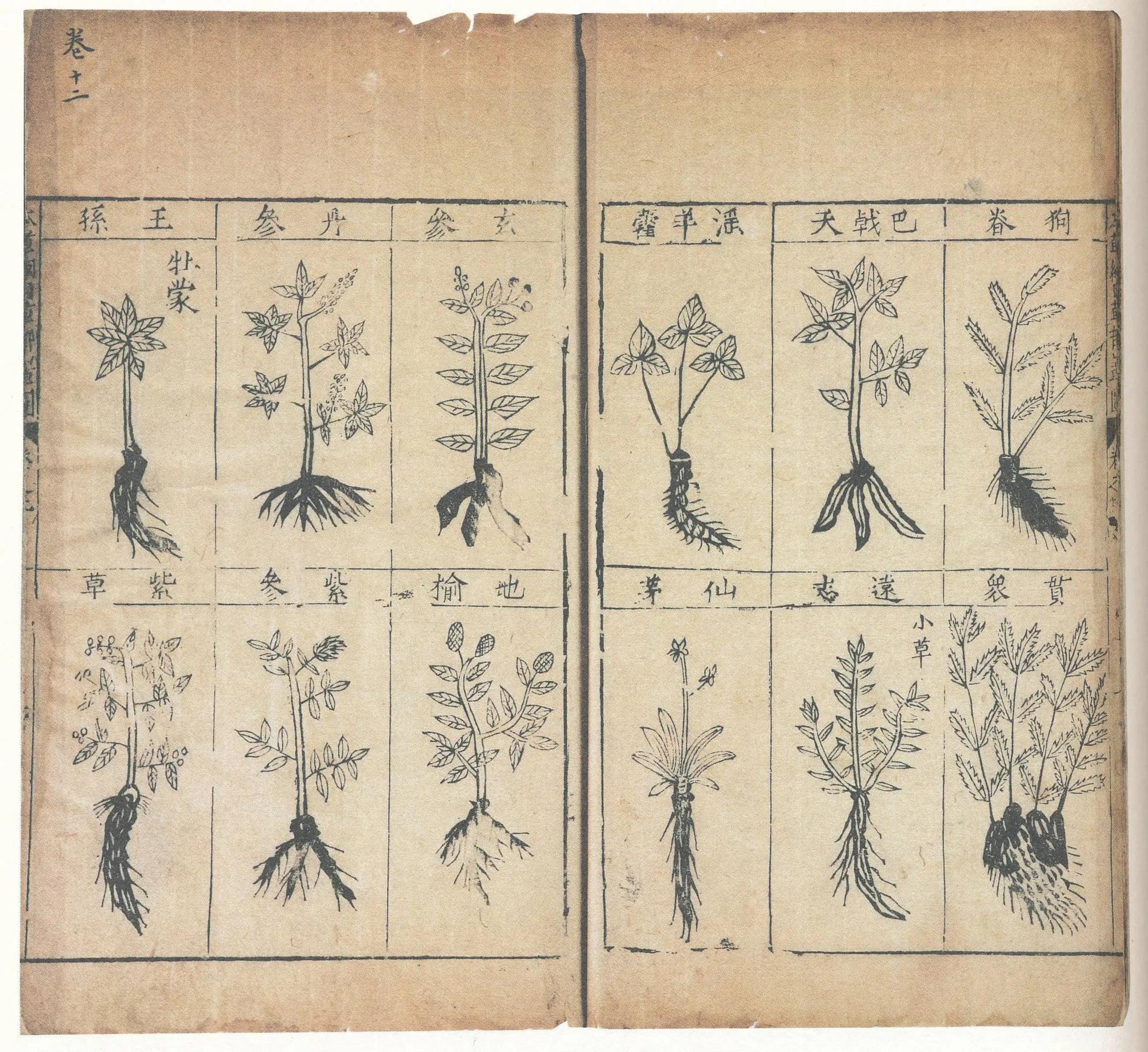 鐓ょ熆鏈厤澶囩伃鐏櫒澶勭綒,鐓ょ熆鏃犵洃鎺т笉浣滀笟