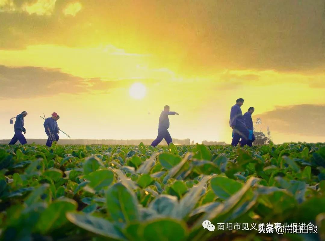 仲景宛西制药股份有限公司是国企,上海仲景宛西制药公司