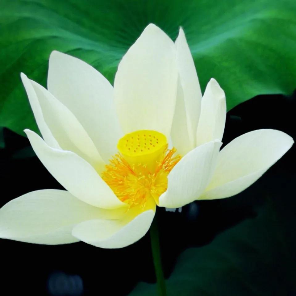 漂亮聪慧的表妹撞上失败的婚姻（2）